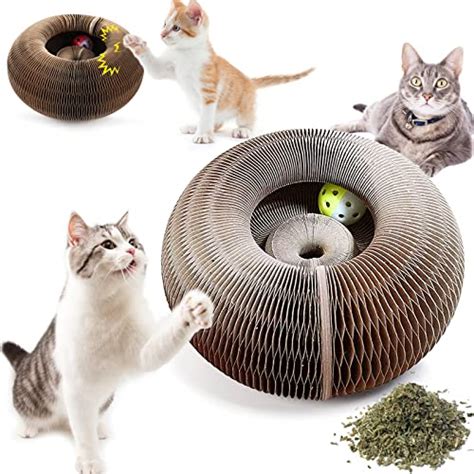 From Ordinary to Extraordinary: Transforming Cat Scratching Toys with Magic